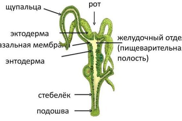 Кракен сайт kr2web in зарегистрироваться