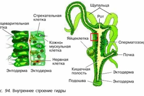 Kraken официальный сайт вход